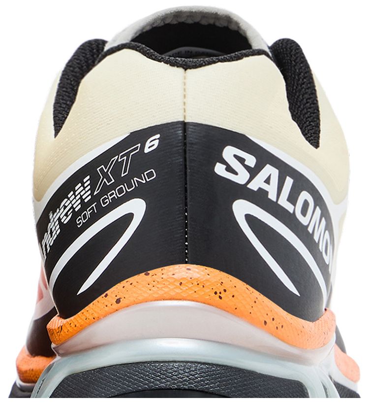 Andrew x Salomon XT 6 Florida Snow Crab