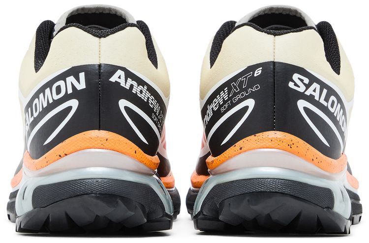 Andrew x Salomon XT 6 Florida Snow Crab