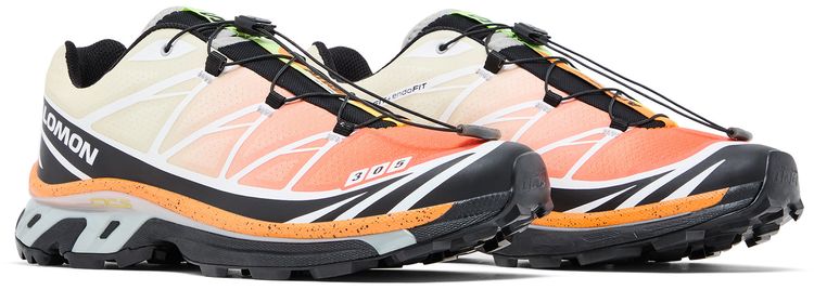 Andrew x Salomon XT 6 Florida Snow Crab