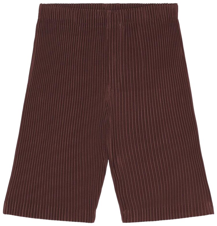 Homme Plisse Issey Miyake Color Pleats Pants Edge Brown