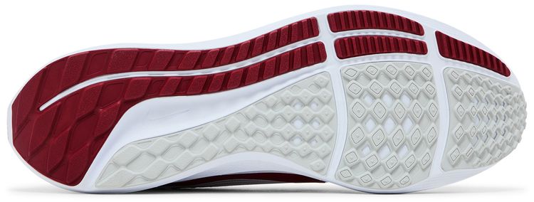 Nike Air Zoom Pegasus 40 Alabama
