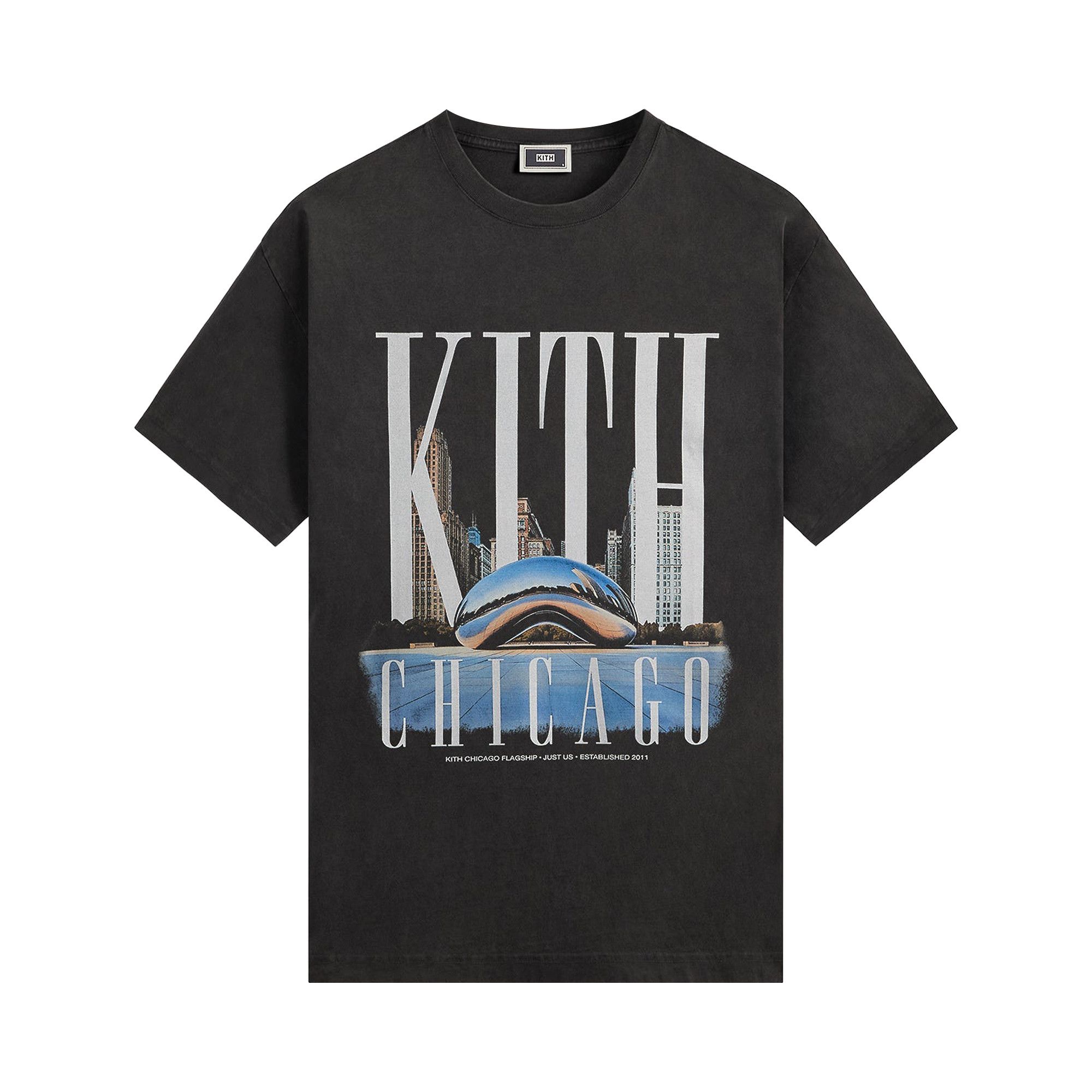 Buy Kith Millennium Park Vintage Tee 'Black' - KHM033930 001 | GOAT