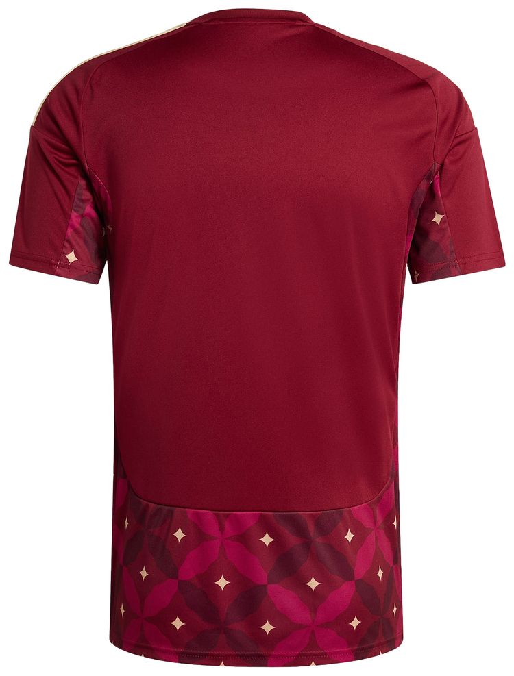 Adidas Italy 26 Home Goalkeeper Jersey Team Coll Burgundy