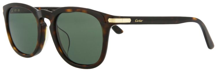 Cartier Square Frame Acetate Sunglasses HavanaGreen