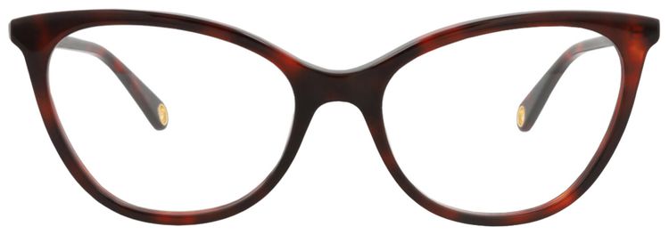 Gucci Cat Eye Frame Acetate Optical Frames HavanaTransparent