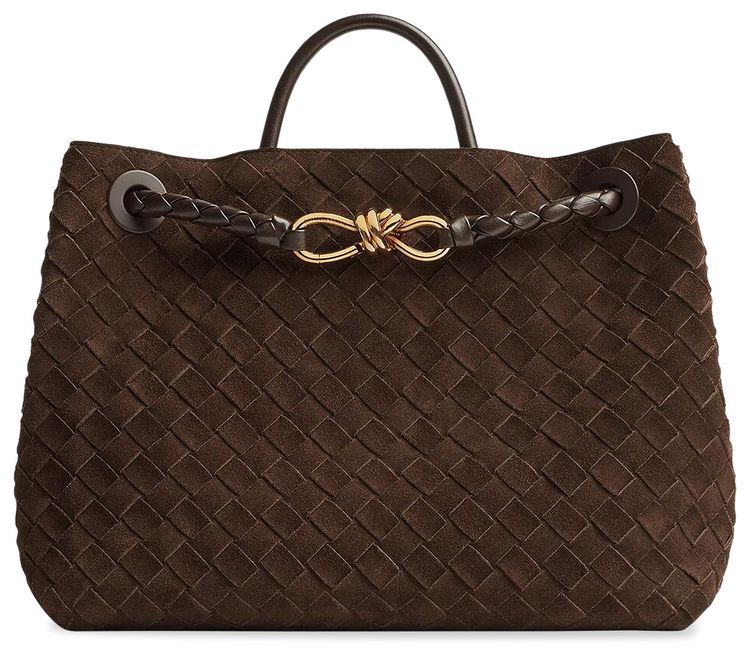 Bottega Veneta Medium Andiamo Fondant