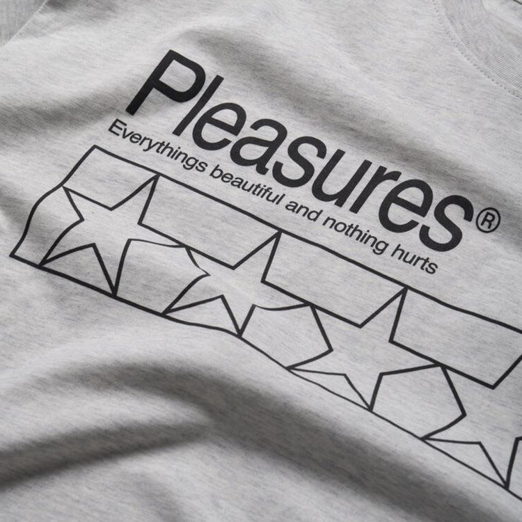 Pleasures Supplements Long Sleeve Heather
