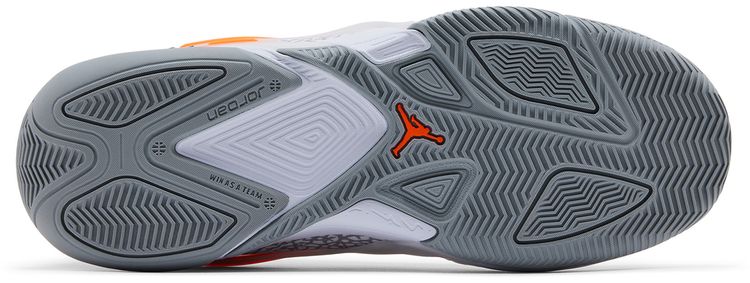 Air Jordan Heir Elephant Print