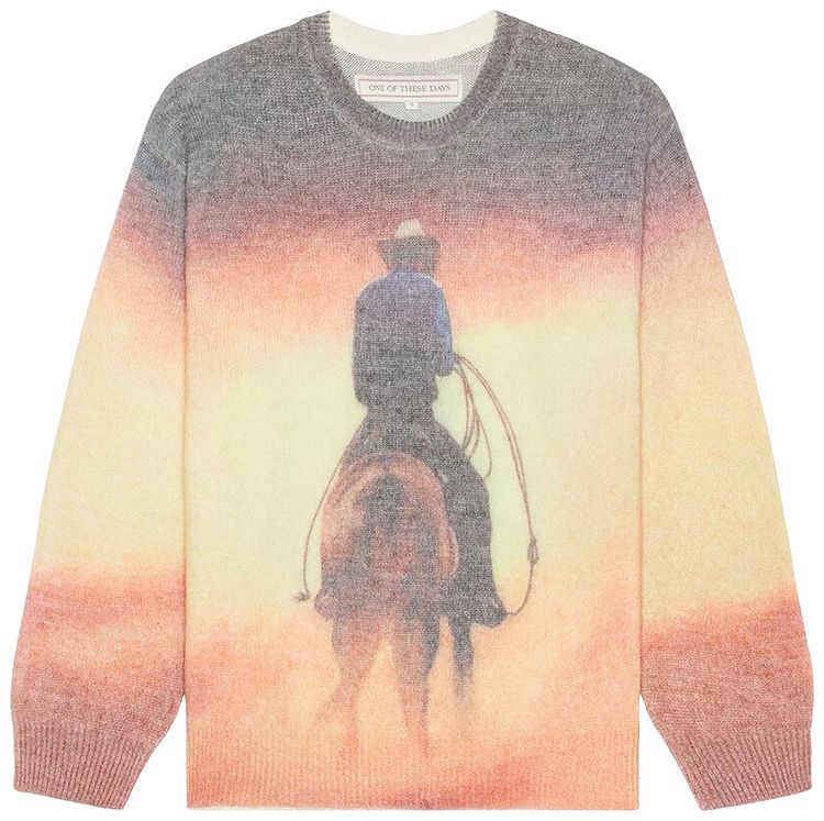 One Of These Days But That Was A Dream Knit Sweater Multicolor