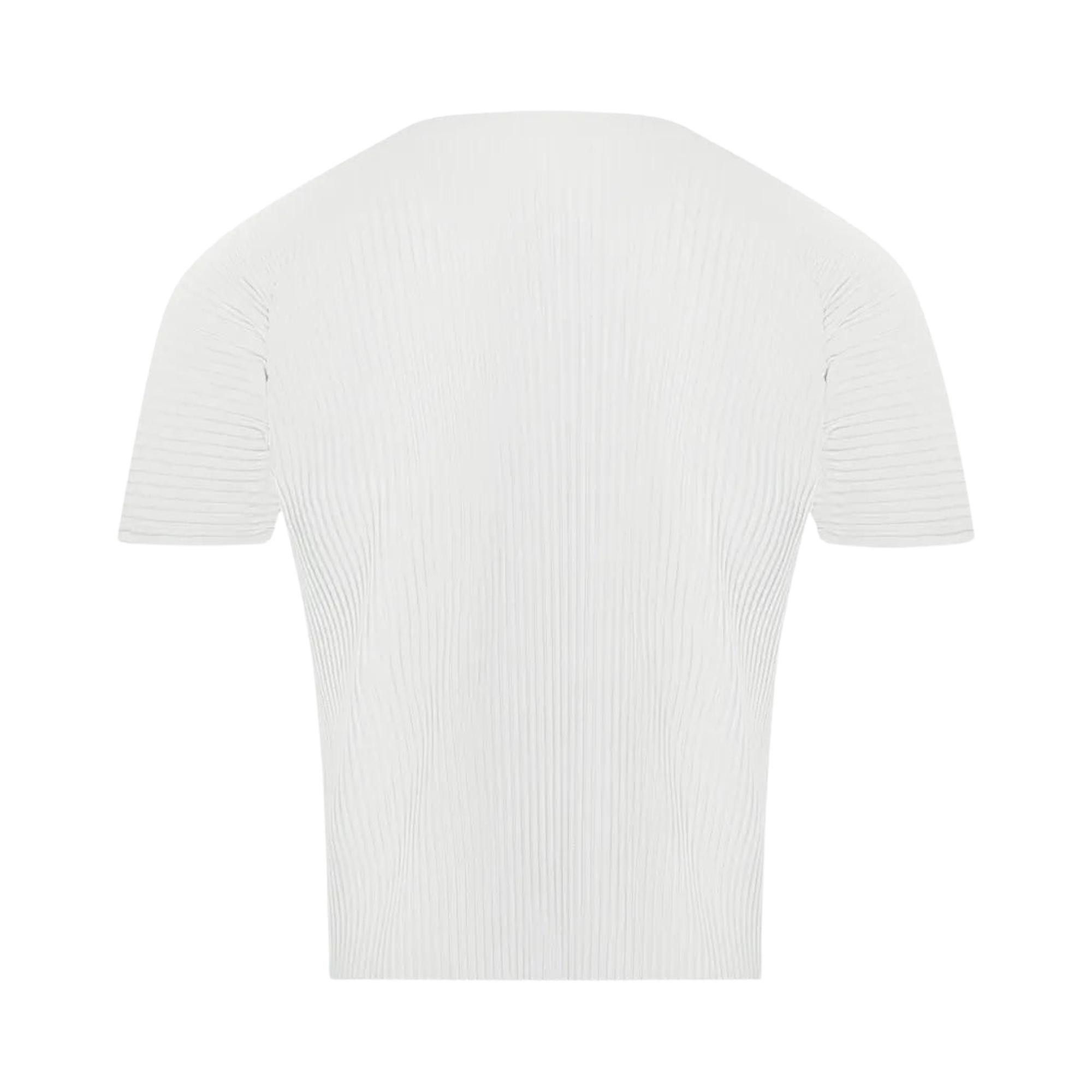 ISSEY MIYAKE プリーツ Tシャツ ホワイト Buy Homme Plissé Issey Miyake Basics T-Shirt 'Light Grey