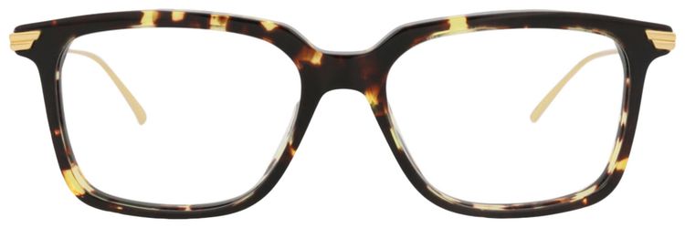 Bottega Veneta Square Frame Acetate Optical Frames HavanaGoldTransparent