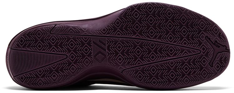 Air Jordan 40 Bordeaux