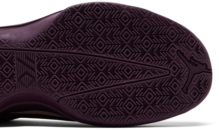 Air Jordan 40 Bordeaux