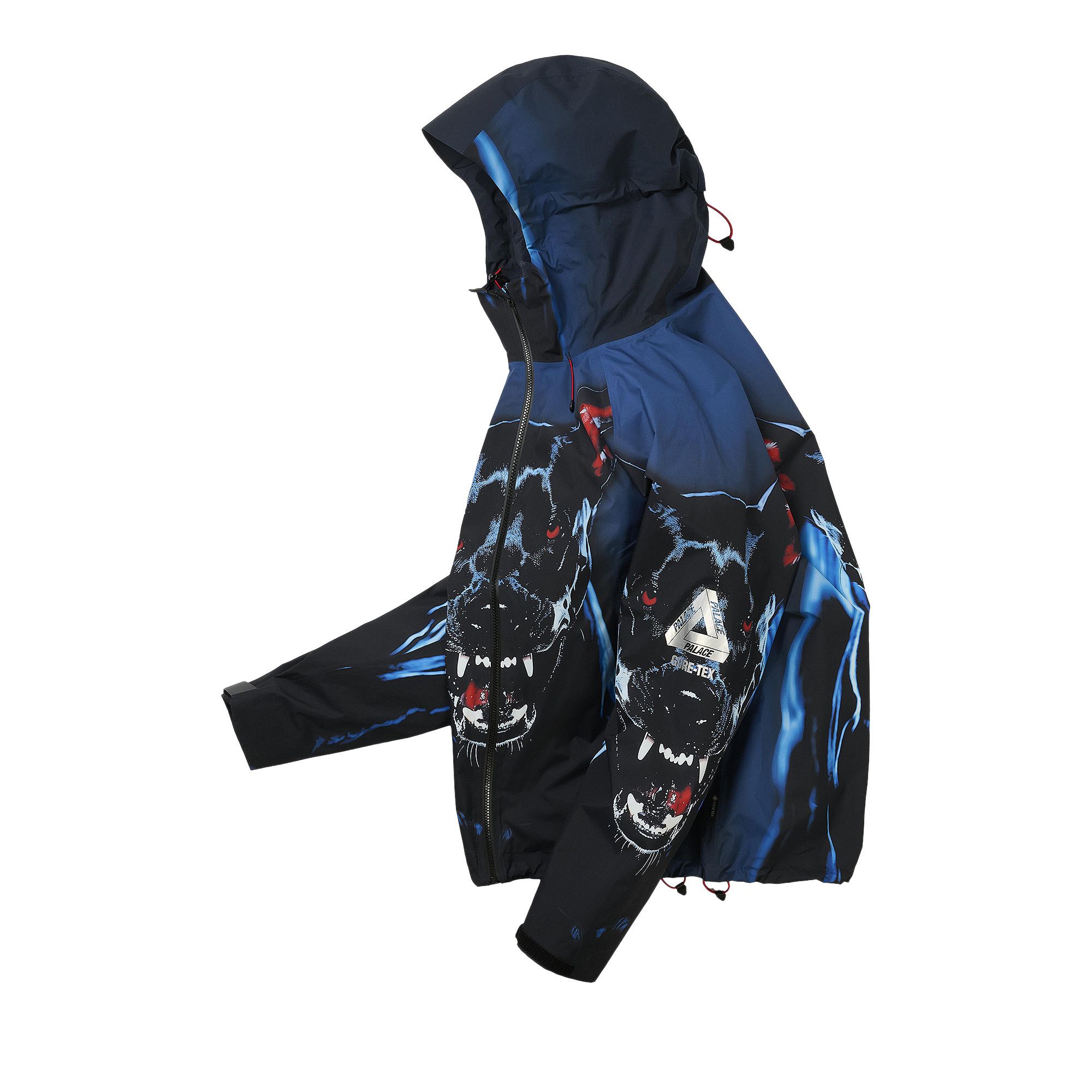 Buy Palace GORE-TEX 2l P-Tek Jacket 'K-Nein Print' - P30JK006 | GOAT