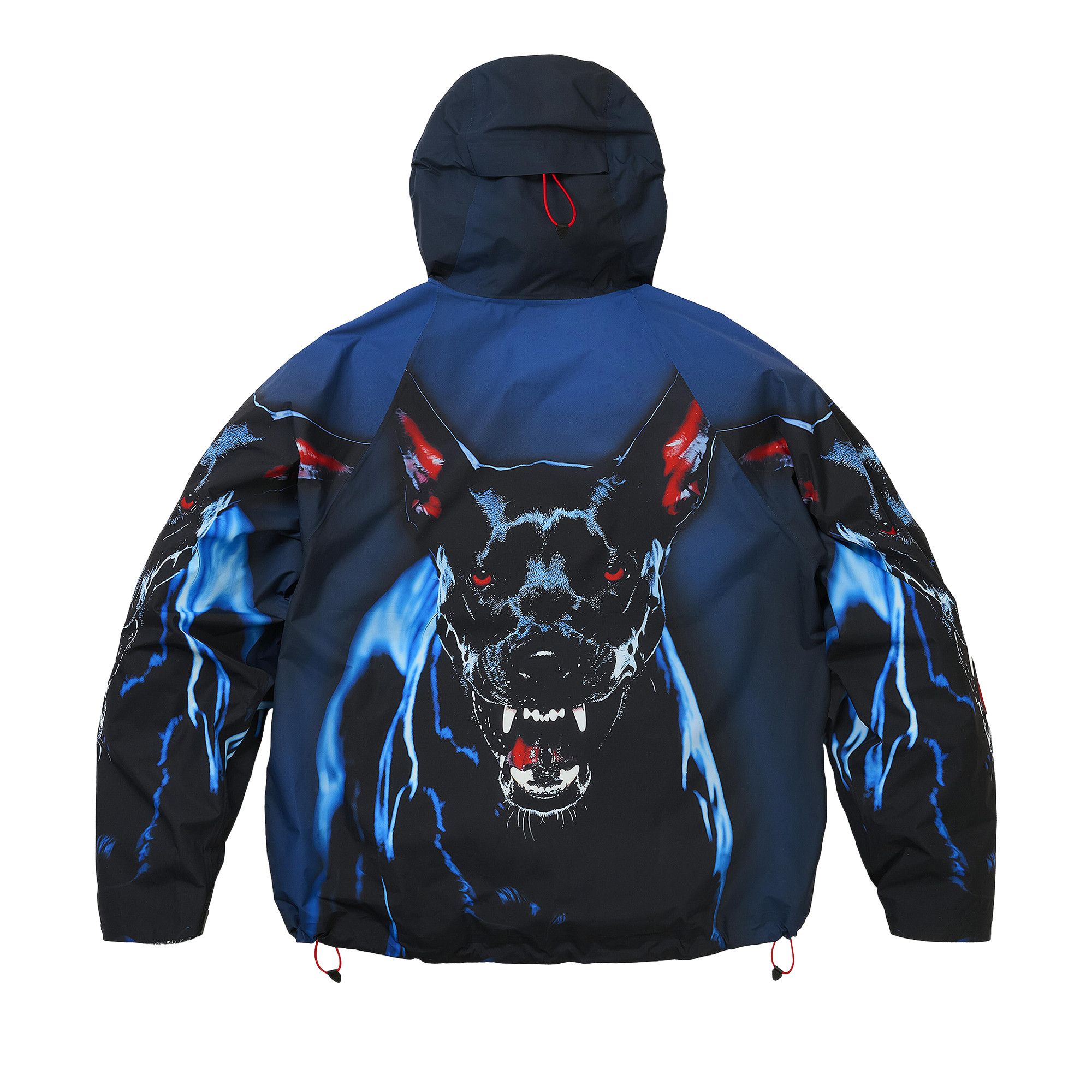 Buy Palace GORE-TEX 2l P-Tek Jacket 'K-Nein Print' - P30JK006 | GOAT