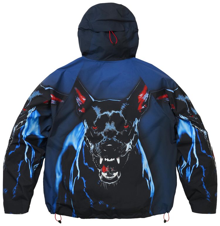 Palace GORE TEX 2l P Tek Jacket K Nein Print