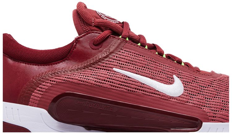 NikeCourt Zoom NXT HC Cedar Team Red