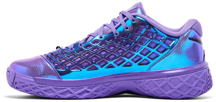 Nike Zoom Kobe 3 Low Protro Warning Label