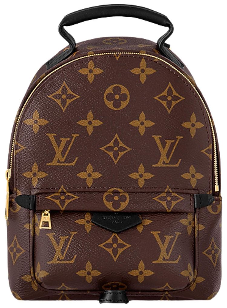 Louis Vuitton Palm Springs Mini Brown Monogram Canvas