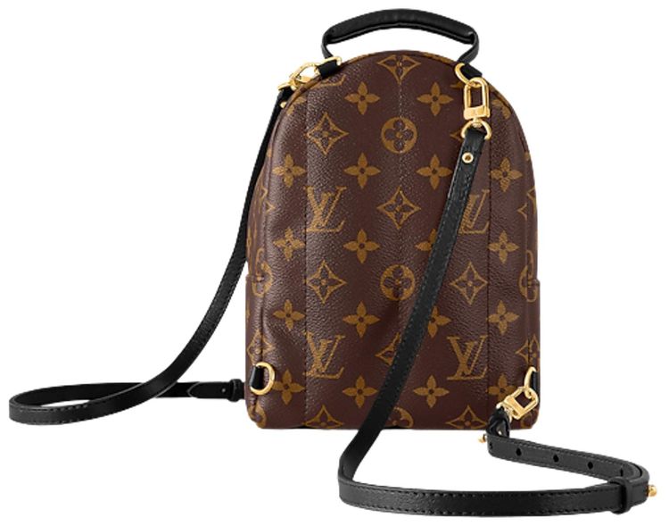 Louis Vuitton Palm Springs Mini Brown Monogram Canvas
