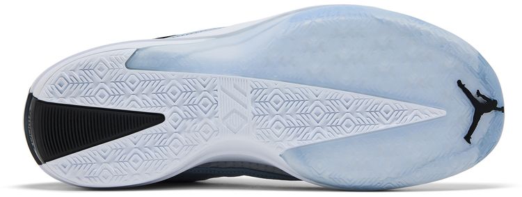 Air Jordan 40 PF Blue Suede