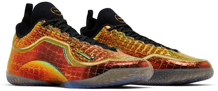 Nike Lebron 23 All Star   Warning Label