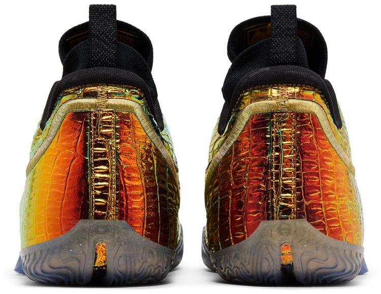 Nike Lebron 23 All Star   Warning Label