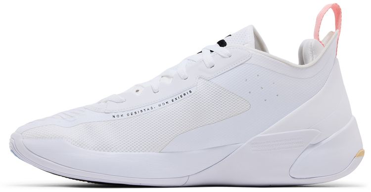 Air Jordan Luka 1 PF My Dawgs
