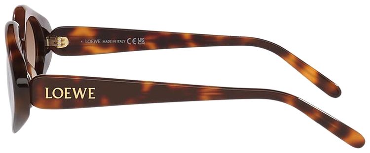 Loewe Slim Sunglasses Dark HavanaGradient Brown