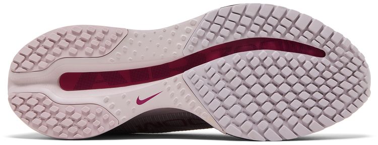 Nike Wmns Pegasus Premium Silt Red Particle Rose