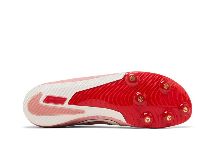 Buy Nike Rival Sprint  display picture 3