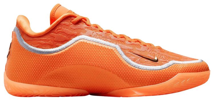 Nike Lebron 23 Shoe Bag