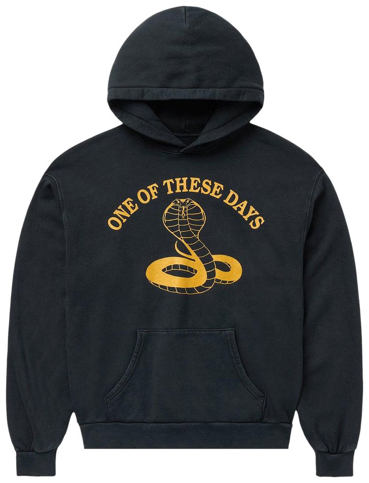 One Of These Days Cobra Pullover Hoodie Washed Black