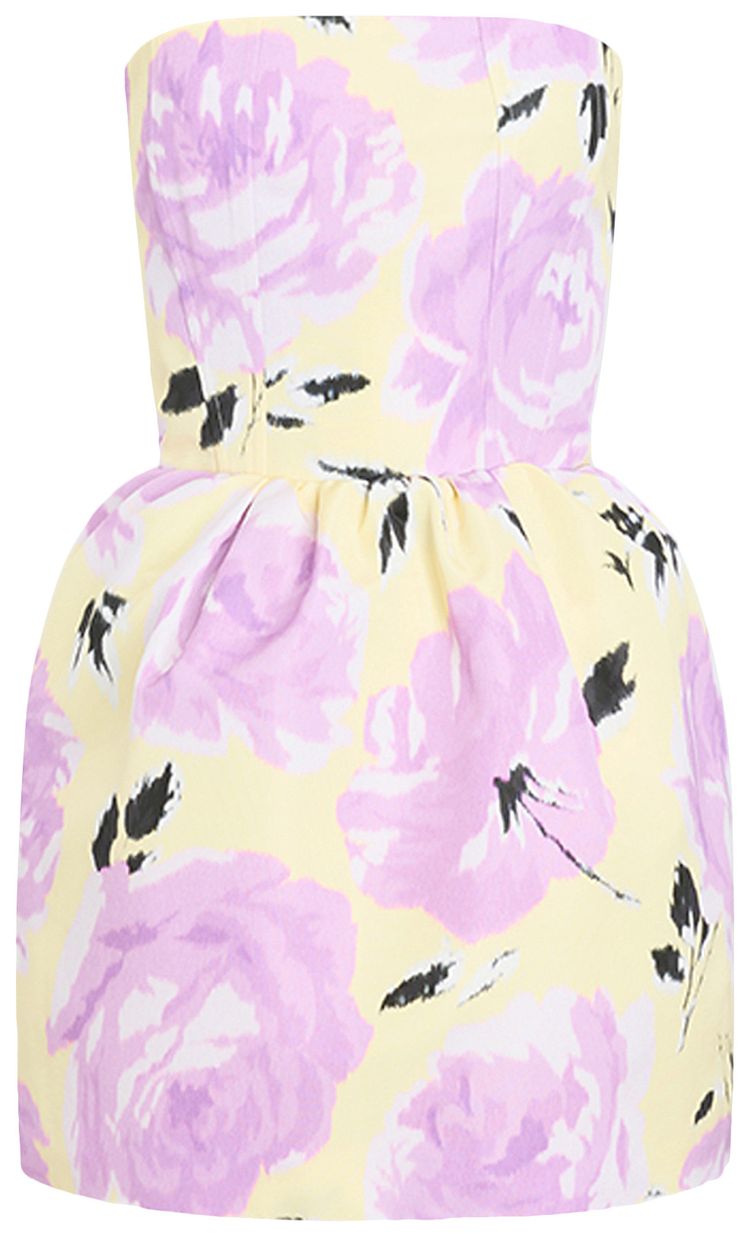 Patou Bustier Mini Dress Peony Garden
