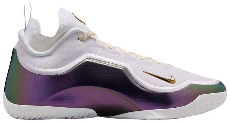 Nike LeBron 23 Elite For The Record