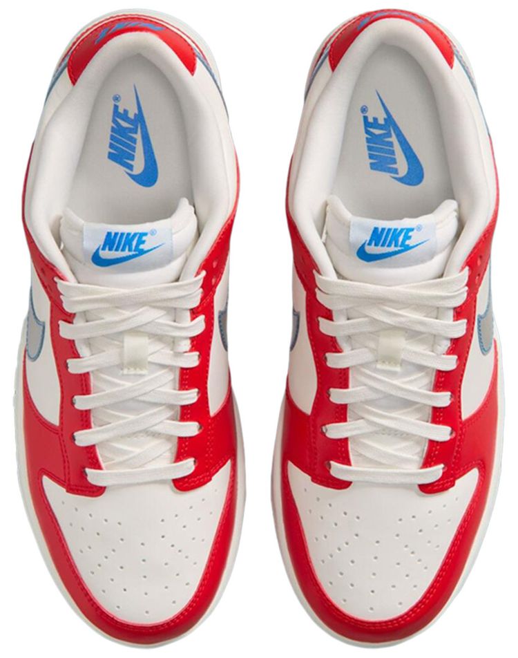 WNBA x Nike Wmns Dunk Low 30th Anniversary