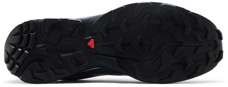 Salomon XT 6 GORE TEX Concord Grape Stormy Weather