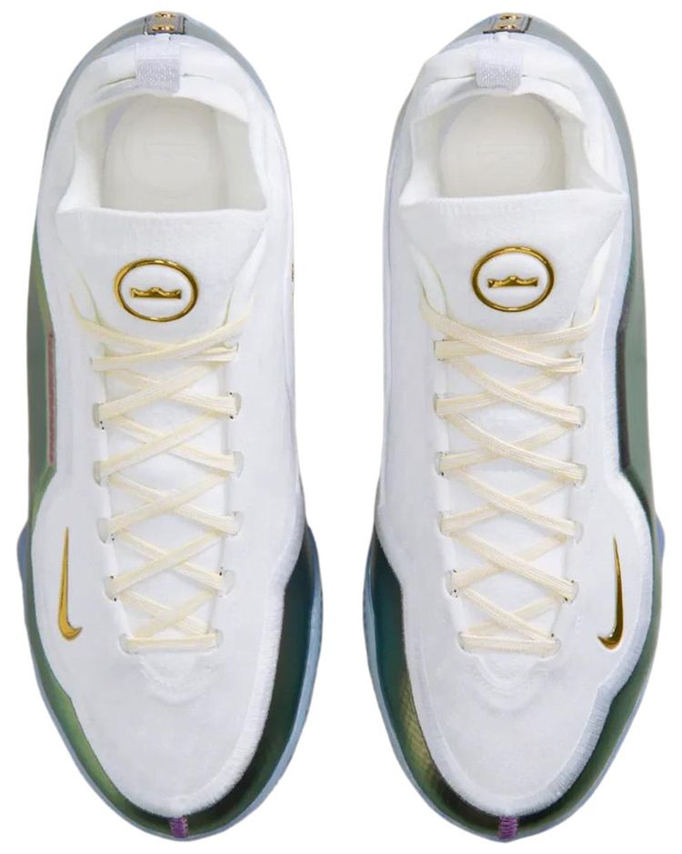 Nike LeBron 23 Elite For The Record