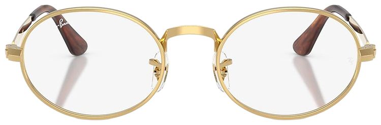 Ray Ban x AAP Rocky RB3931V Polished Arista Gold