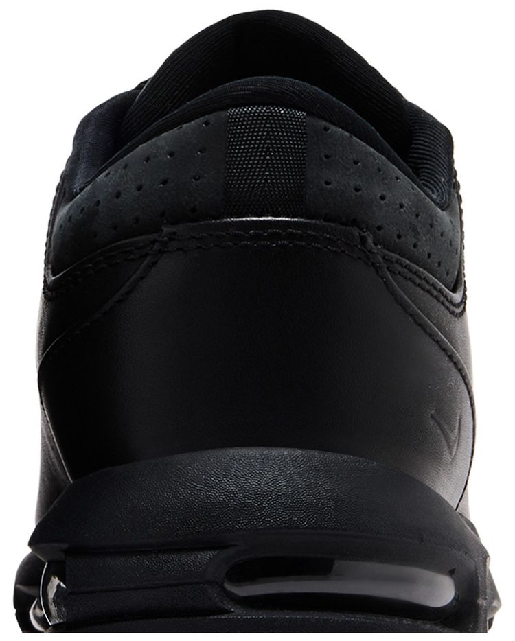 Nike Air Max Goadome Low Black