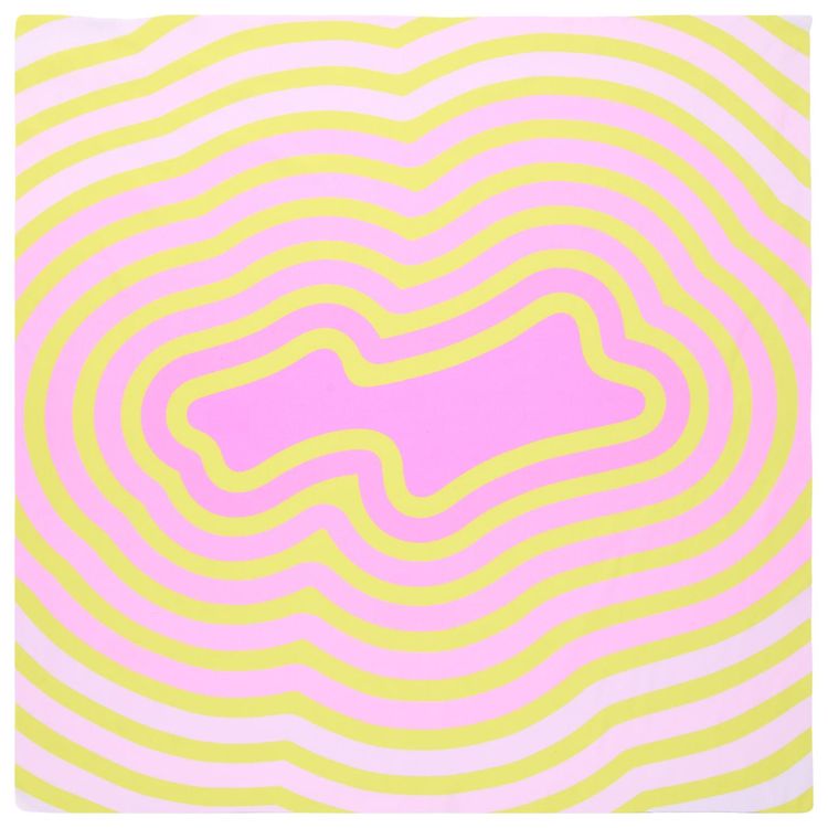 SKYLRK Coachella Scarf PinkYellow