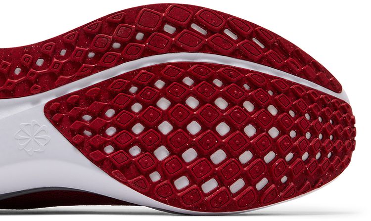 Nike Air Zoom Pegasus 41 Ohio State