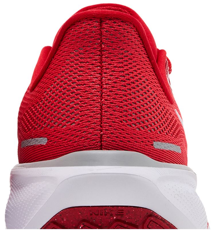 Nike Air Zoom Pegasus 41 Ohio State