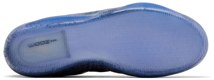 Nike Kobe 11 Protro Low Mamba Day
