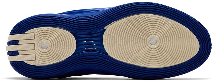 adidas Harden Vol 10 Royal Blue