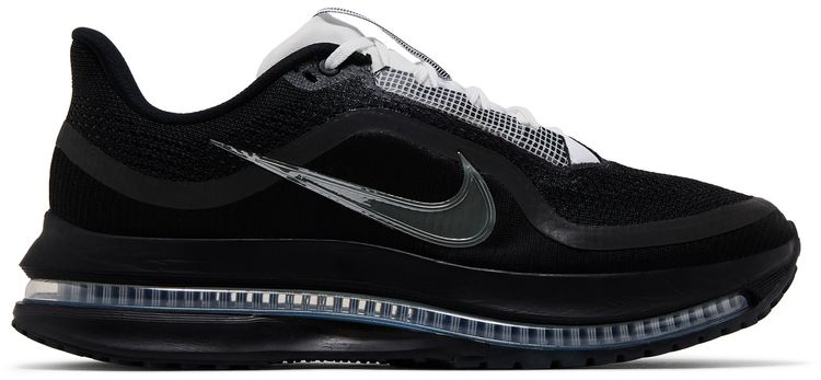 Nike Pegasus Premium SP Black Metallic Silver