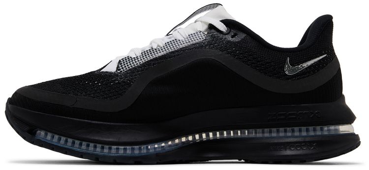 Nike Pegasus Premium SP Black Metallic Silver