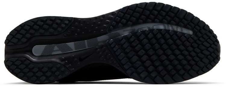 Nike Pegasus Premium SP Black Metallic Silver