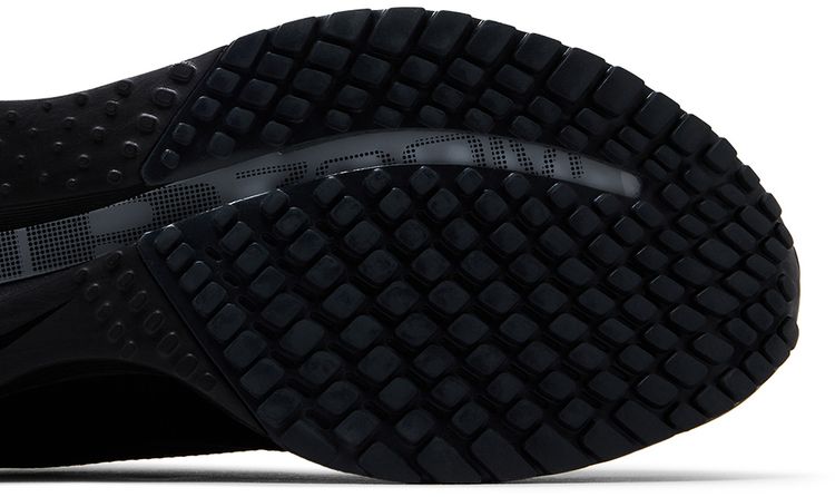 Nike Pegasus Premium SP Black Metallic Silver