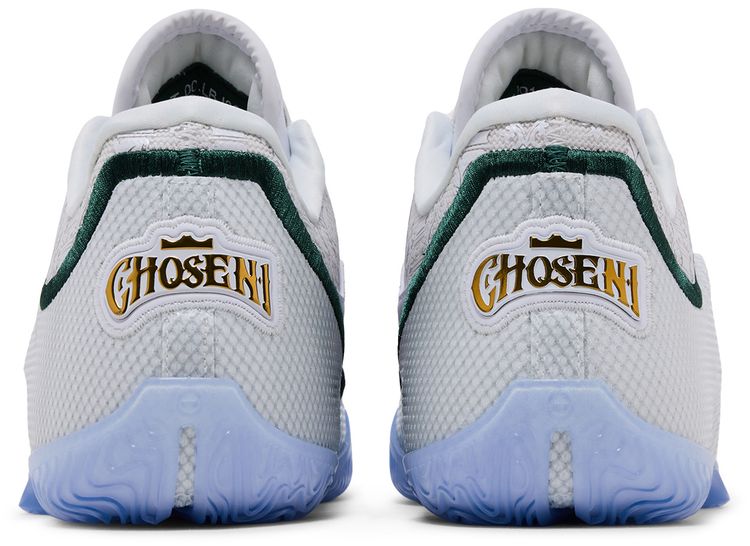 Nike Lebron 23 From This Point Forward